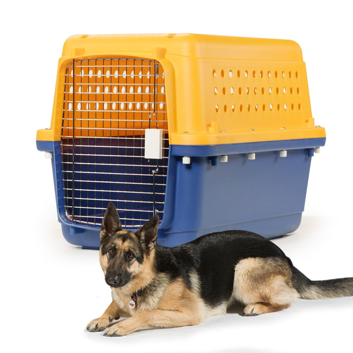 Airline-Approved Pet Travel Crate