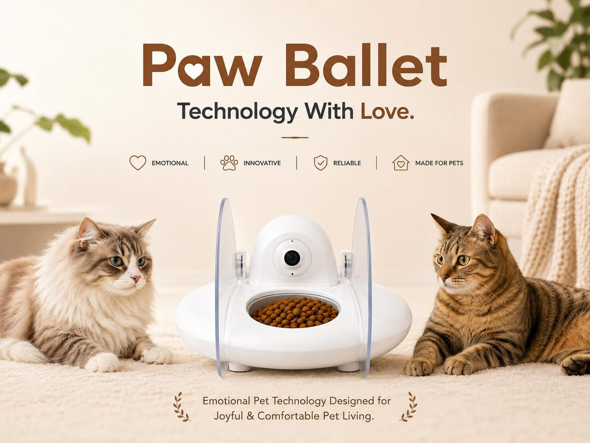 AI Smart Cat Feeder With Face Recognition