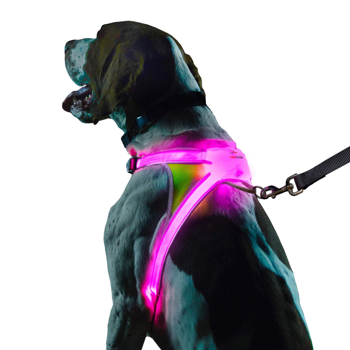 LED Reflective Dog Harness With Multicolor Lights
