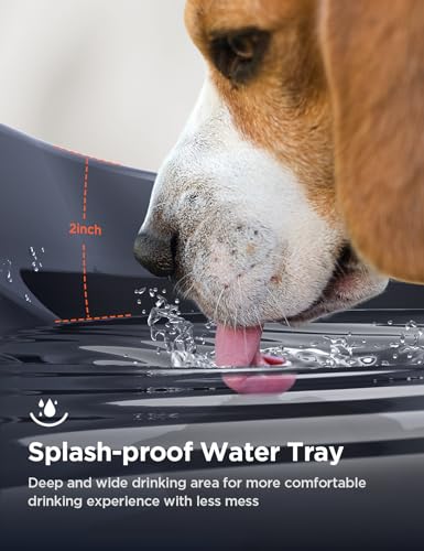 7L Large Dog Water Fountain With Fresh Flow