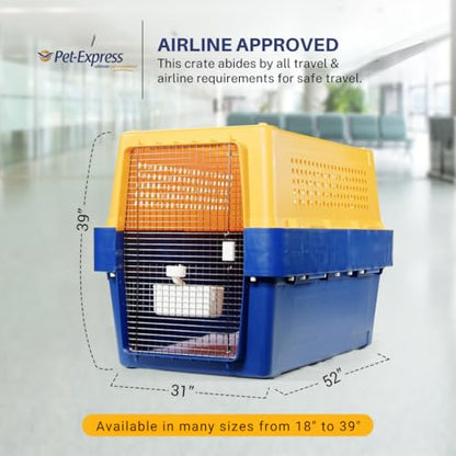Airline-Approved Pet Travel Crate