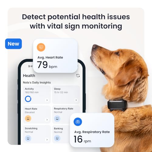 XL Smart Dog GPS Tracker With Virtual Fence