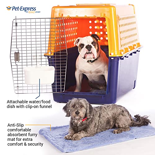 Airline-Approved Pet Travel Crate