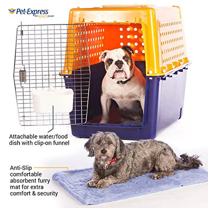 Airline-Approved Pet Travel Crate