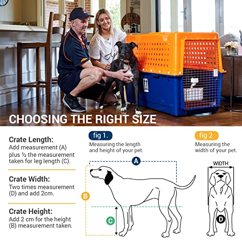 Airline-Approved Pet Travel Crate