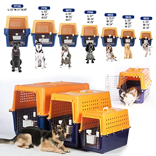 Airline-Approved Pet Travel Crate
