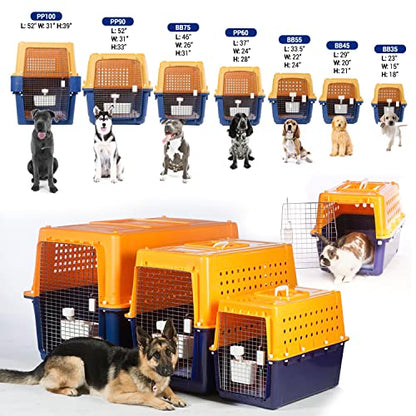 Airline-Approved Pet Travel Crate