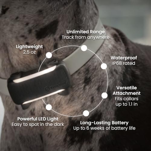 XL Smart Dog GPS Tracker With Virtual Fence