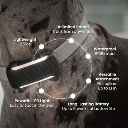 XL Smart Dog GPS Tracker With Virtual Fence