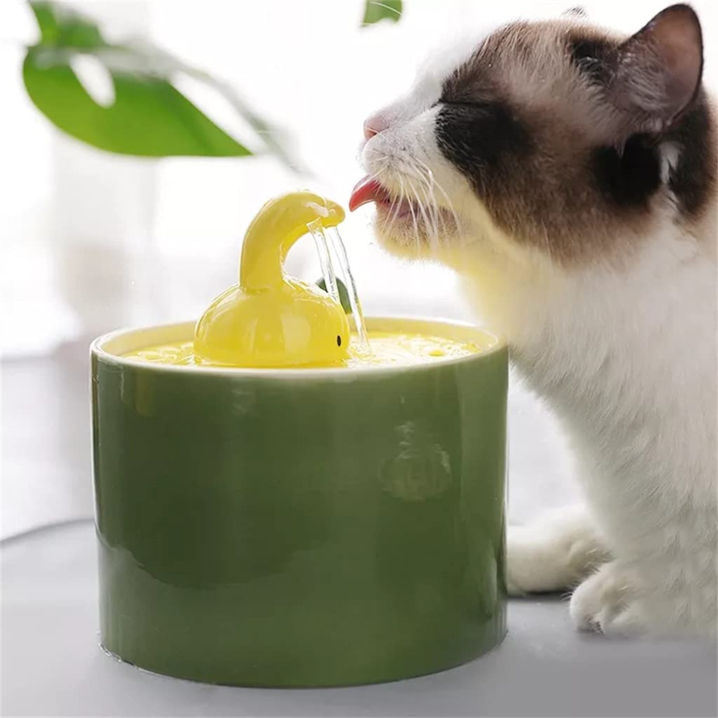 Ceramic Pet Water Fountain With 5-Stage Filtration