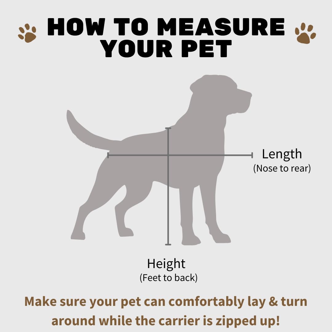 SturdiBag Pro 3.0 Soft-Sided Pet Travel Carrier
