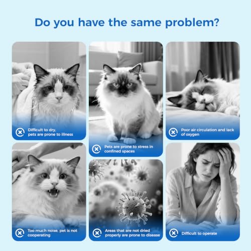 Quiet Pet Dryer Box With App Control & 6 Modes