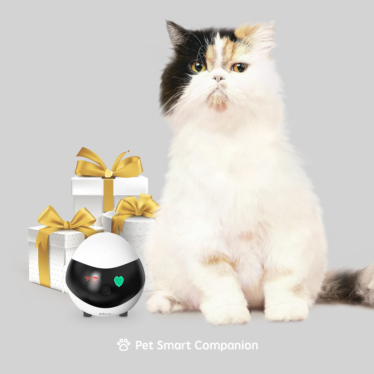 EBO SE 1080p Mobile Pet Camera Robot