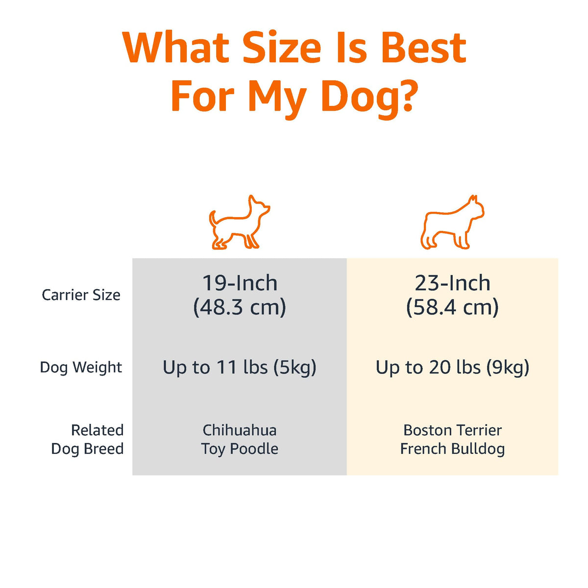 Durable Plastic Pet Carrier With Secure Buckles