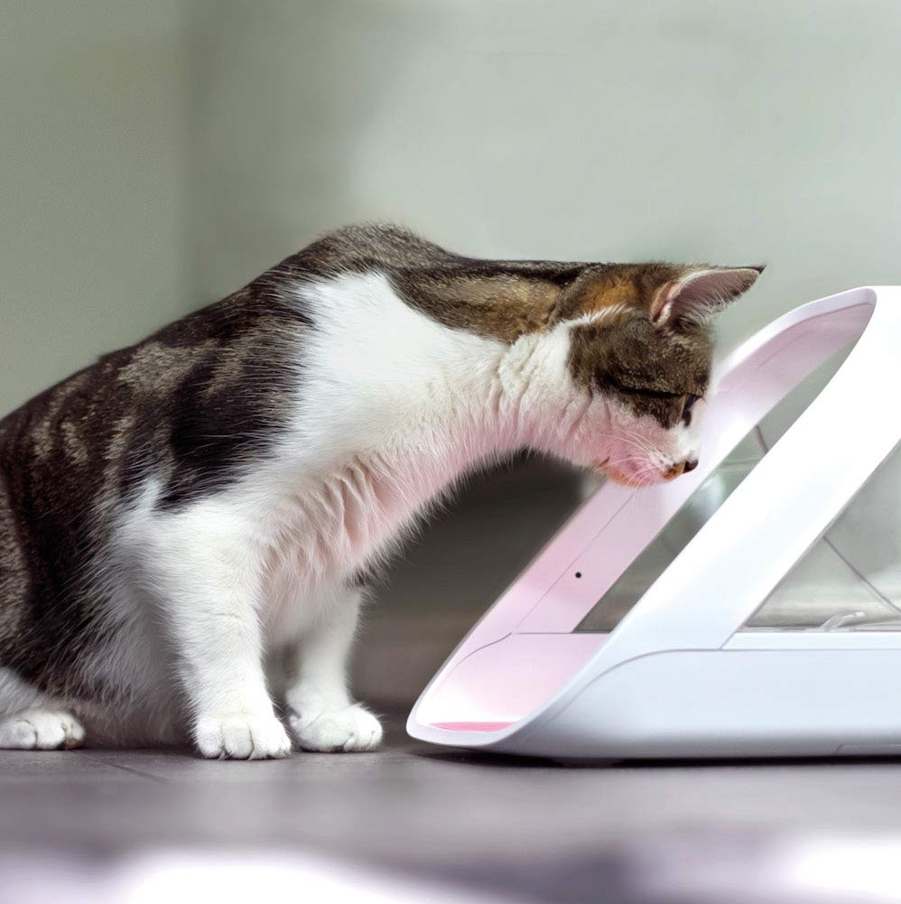 Microchip Pet Feeder With Selective Access