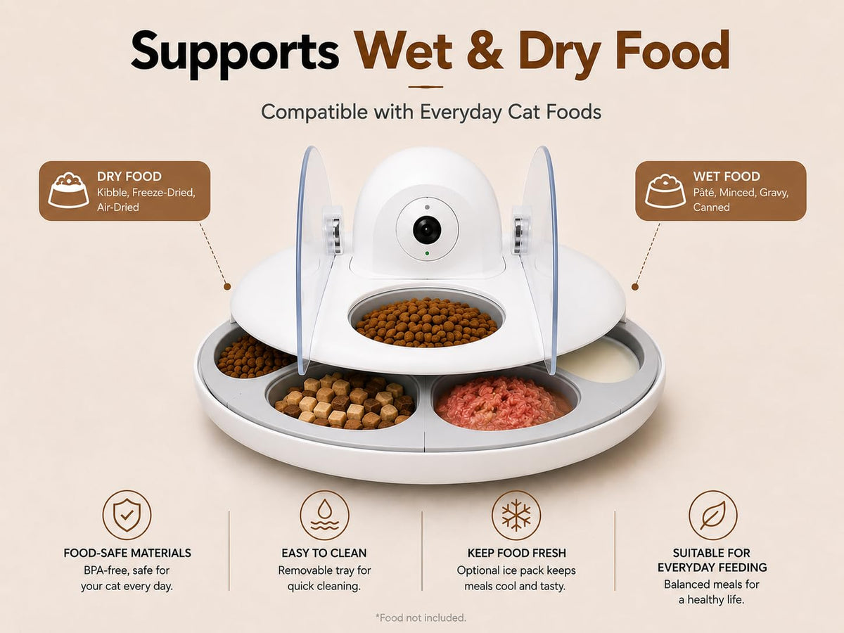AI Smart Cat Feeder With Face Recognition