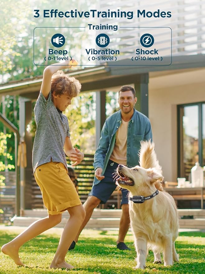 GPS Wireless Dog Fence System for Two Dogs