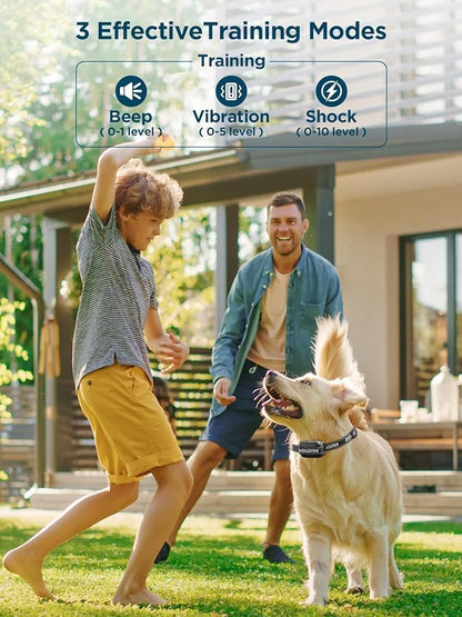 GPS Wireless Dog Fence System for Two Dogs