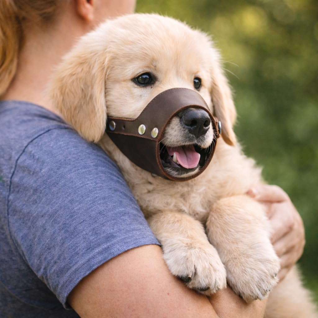 Jorvet Leather Muzzle for Pets