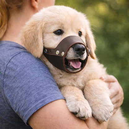 Jorvet Leather Muzzle for Pets