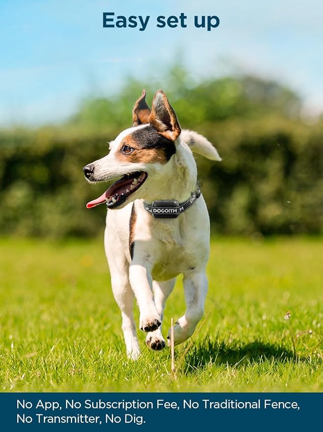 GPS Wireless Dog Fence System for Two Dogs