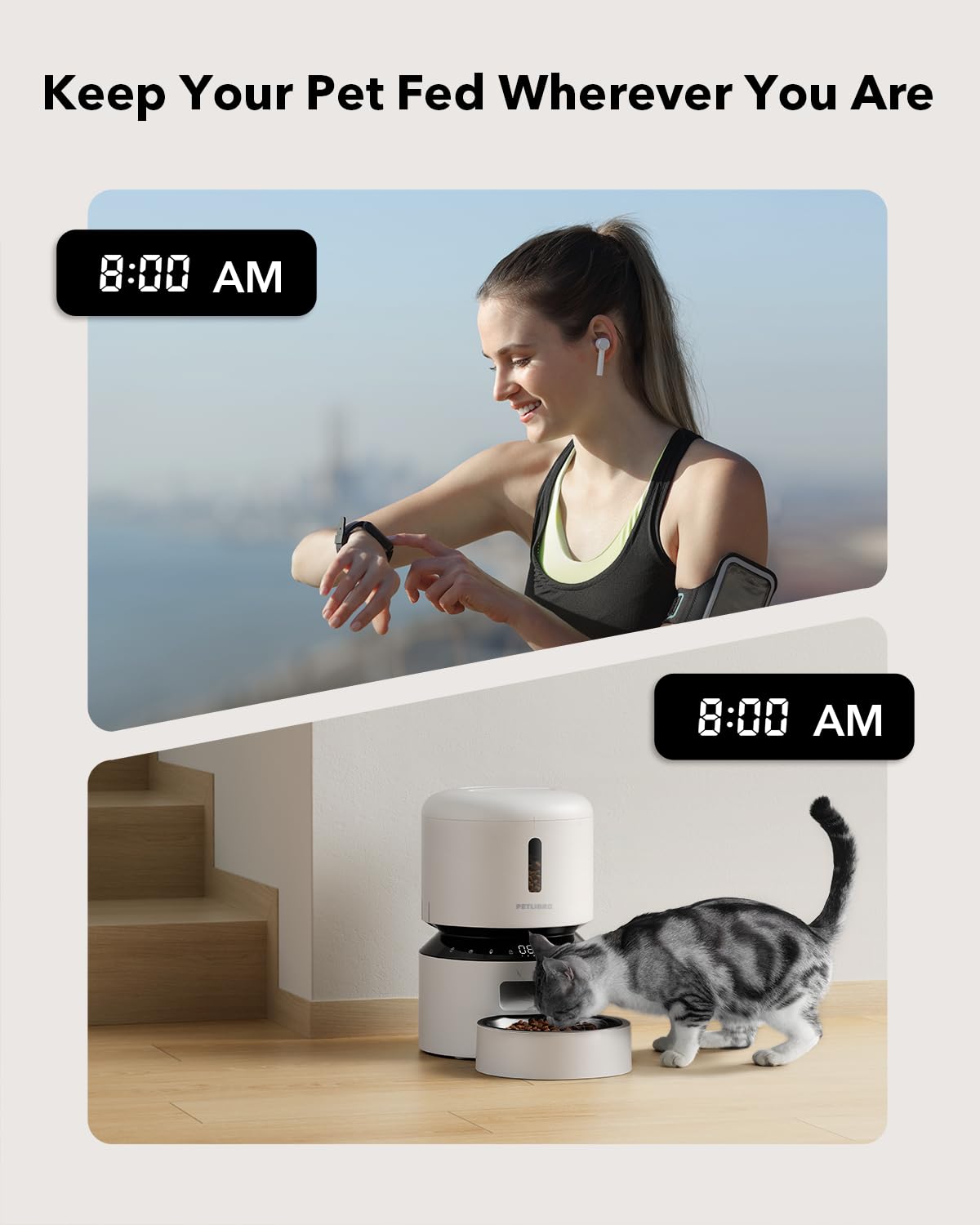 Automatic Pet Feeder With Scheduled Meal Dispensing