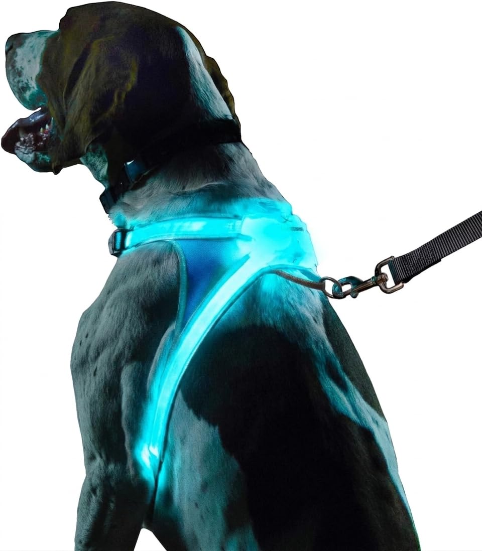 LED Reflective Dog Harness With Multicolor Lights
