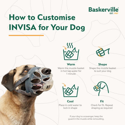 Baskerville INVISA Basket Dog Muzzle
