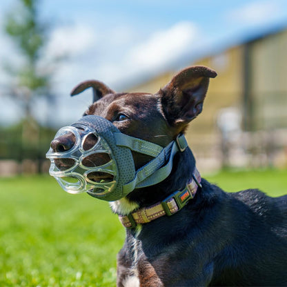 Baskerville INVISA Basket Dog Muzzle