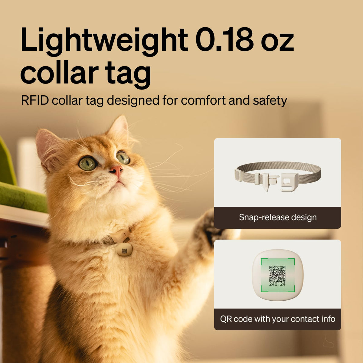 RFID Cat Feeder With Personalized Meal Access