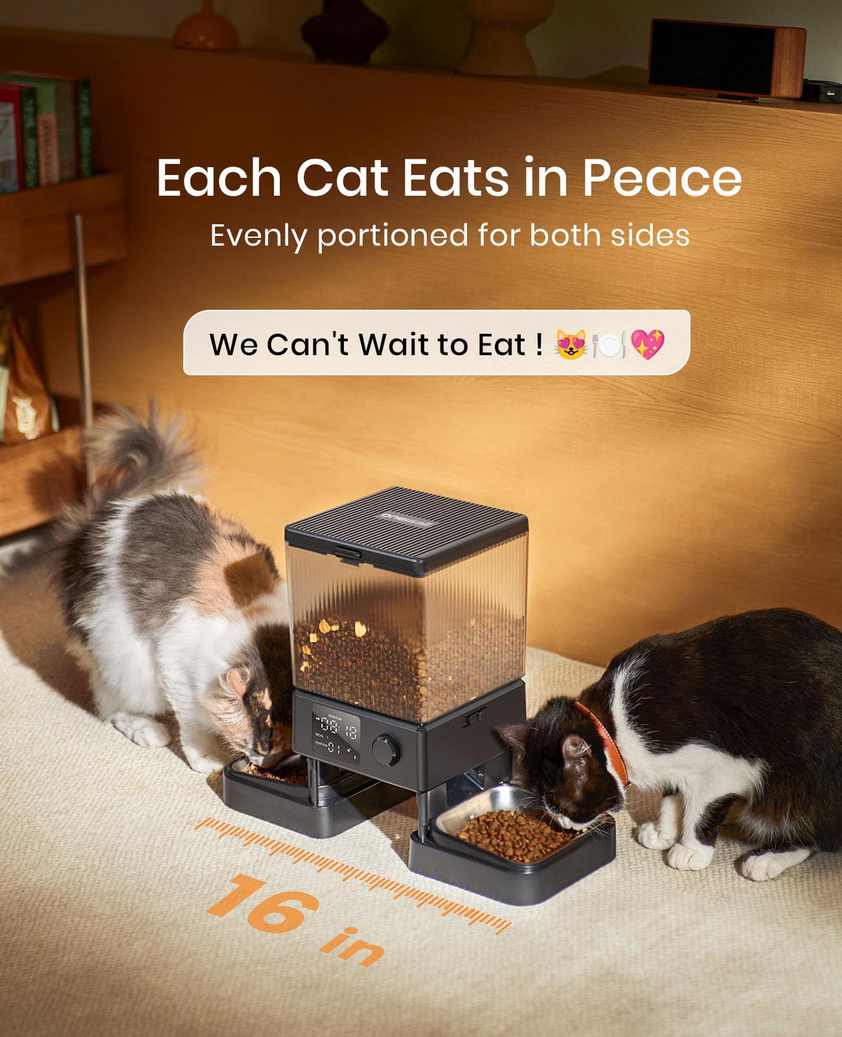 Automatic Dual Cat Feeder With 5L Food Storage