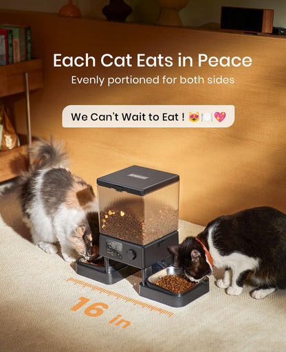 Automatic Dual Cat Feeder With 5L Food Storage