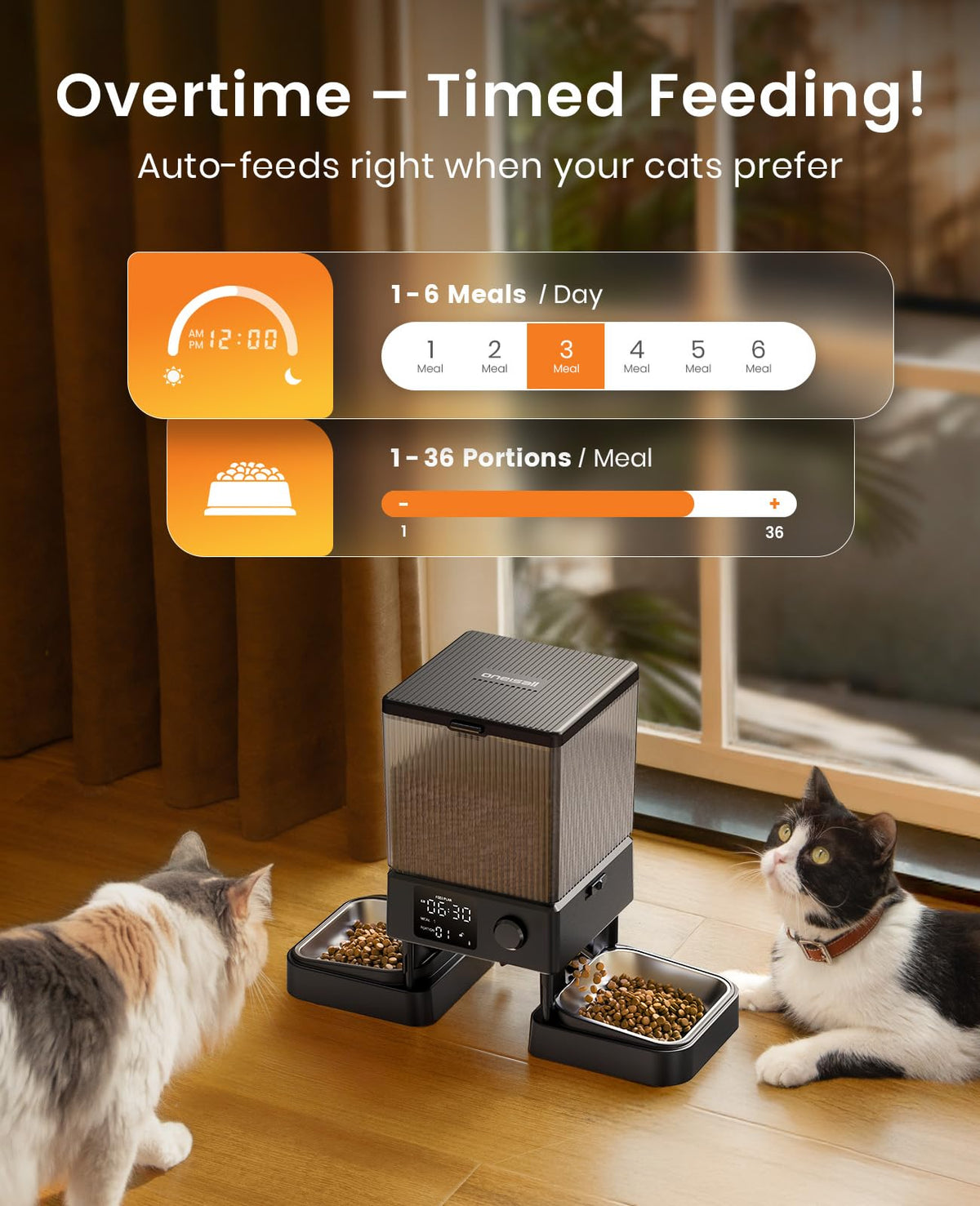 Automatic Dual Cat Feeder With 5L Food Storage