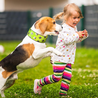 High-Visibility Reflective Dog Collars – 2 Pack
