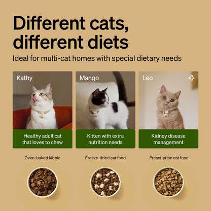 RFID Cat Feeder With Personalized Meal Access
