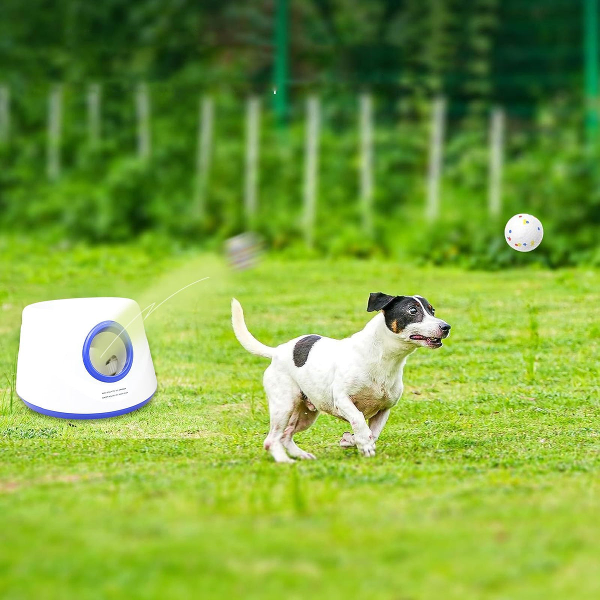 Automatic Dog Ball Launcher With Adjustable Distance
