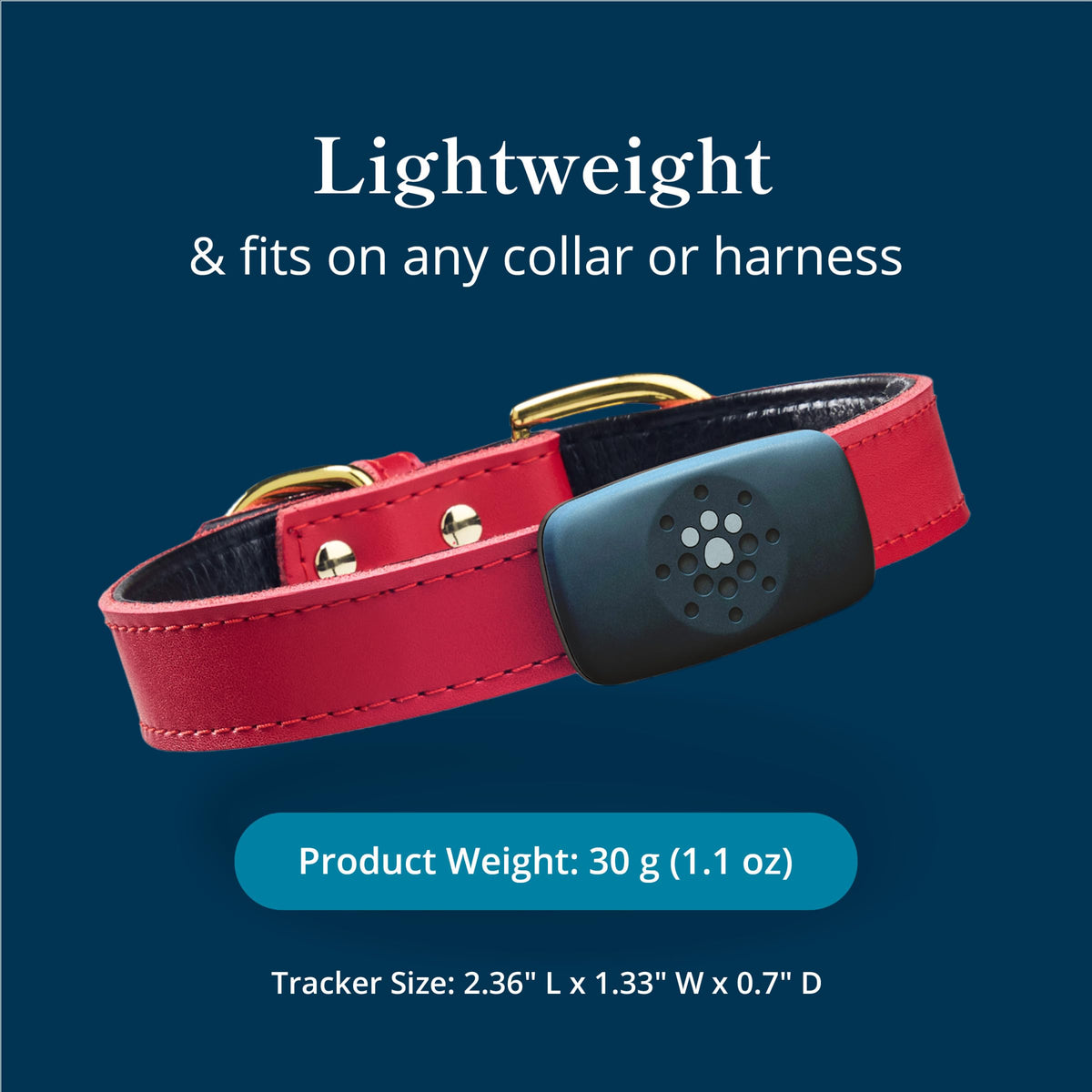 petivity Smart GPS and Activity Dog Tracker Tag