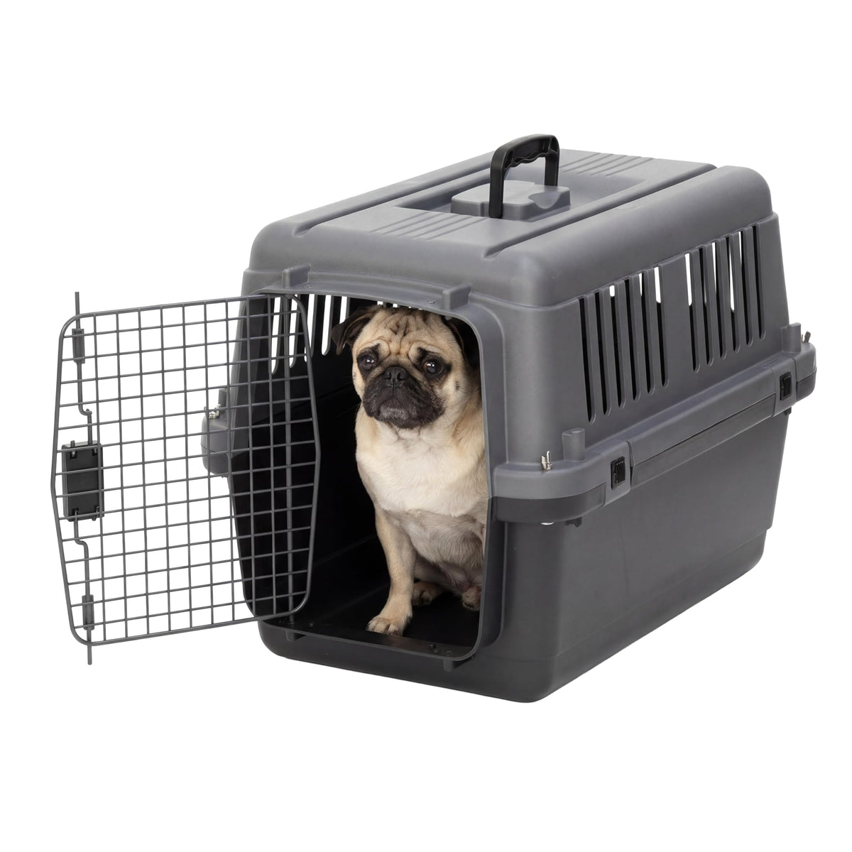 Airline-Compliant Travel Dog Kennel With Food Bowls