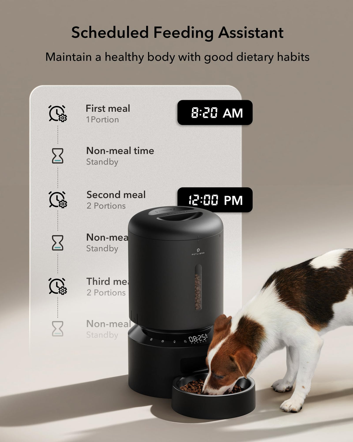 5L Automatic Cat Feeder With Dual Steel Bowls