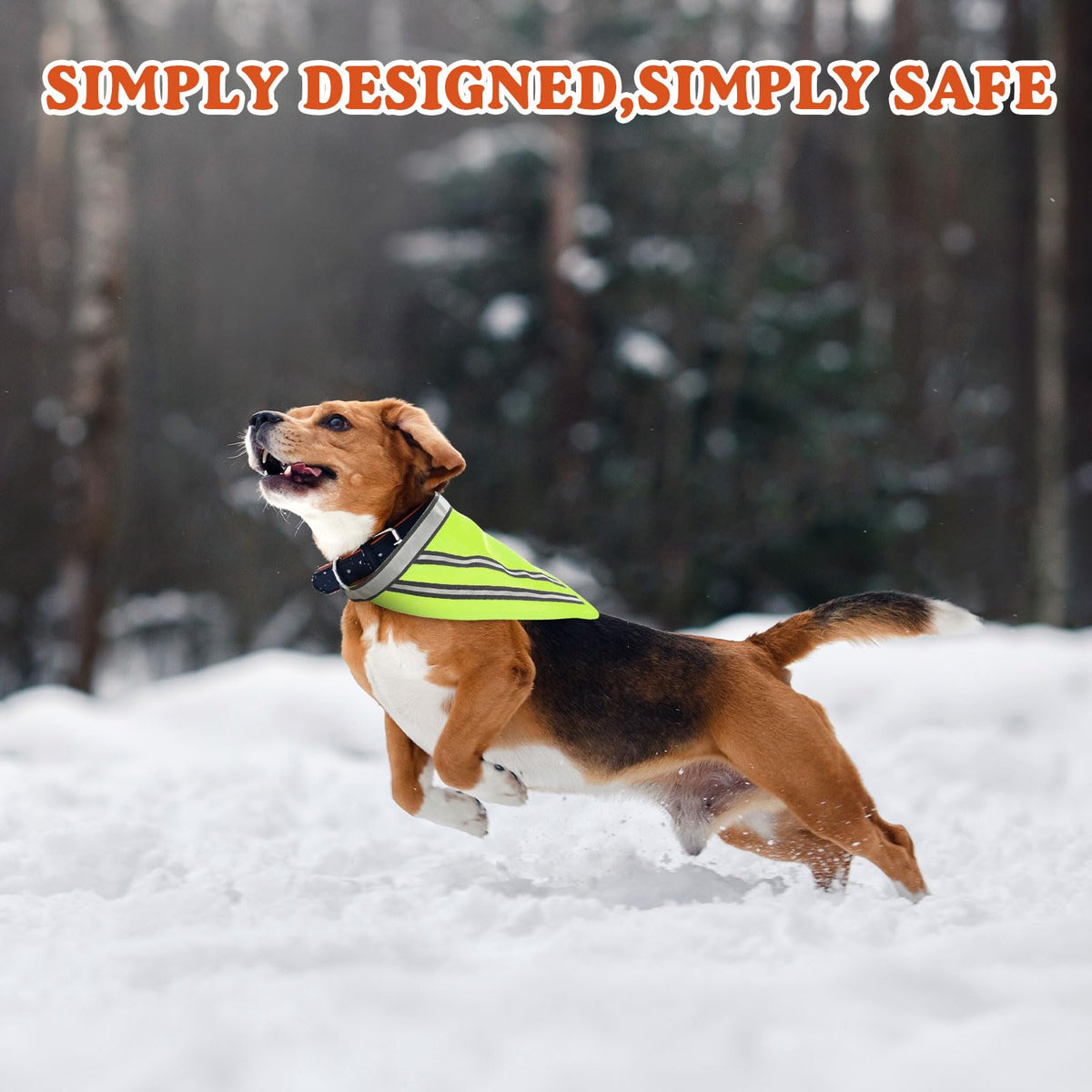 High-Visibility Reflective Dog Bandanas – 2 Pack