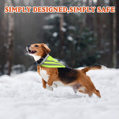 High-Visibility Reflective Dog Bandanas – 2 Pack