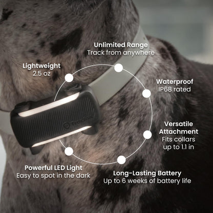 XL Smart Dog GPS Tracker With Virtual Fence