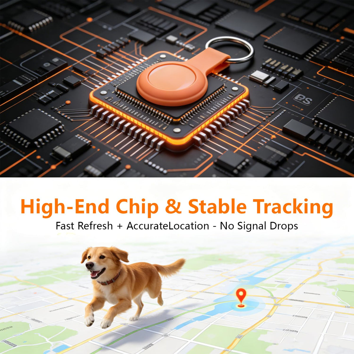 GPS Dog Tracker With 365-Day Battery & No Monthly Fee