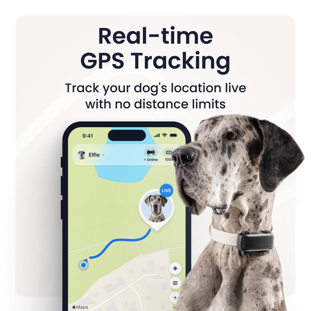 XL Smart Dog GPS Tracker With Virtual Fence