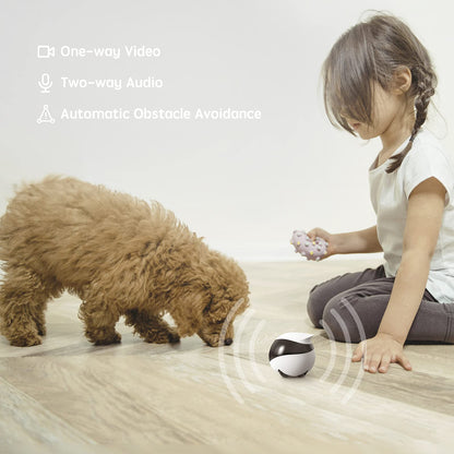 EBO SE 1080p Mobile Pet Camera Robot