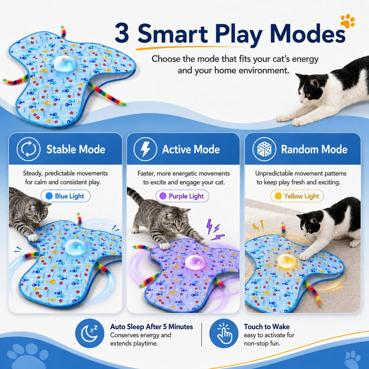 Interactive Cat Toys for Indoor Play & Enrichment