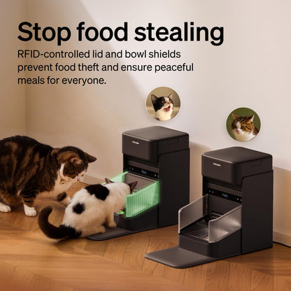 RFID Cat Feeder With Personalized Meal Access