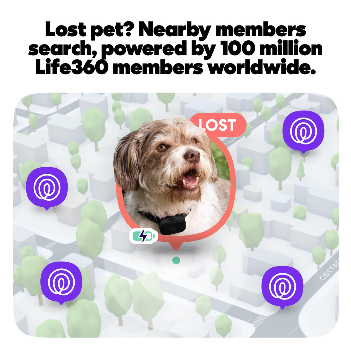 Pet GPS Tracker With Live Tracking & Escape Alerts