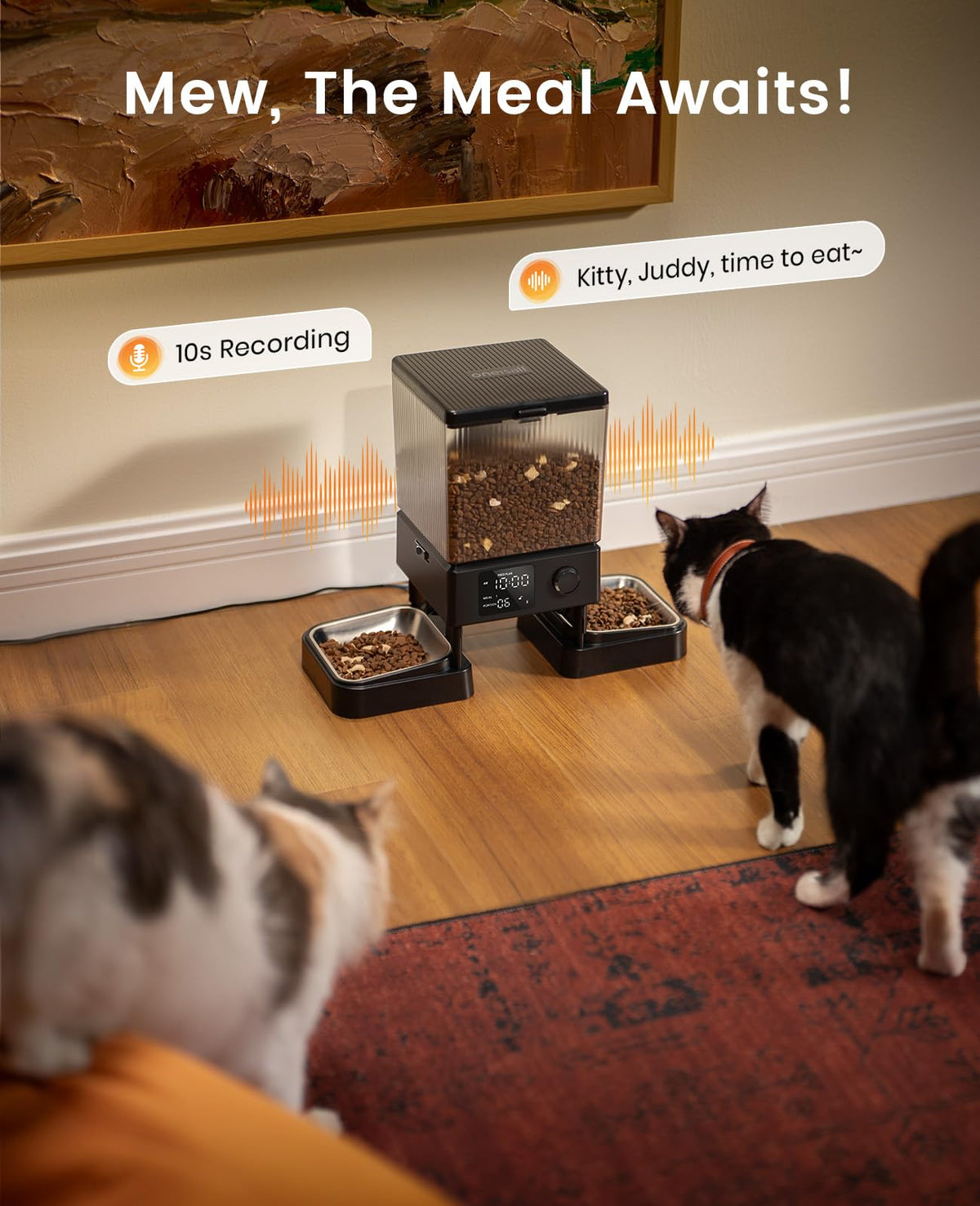 Automatic Dual Cat Feeder With 5L Food Storage