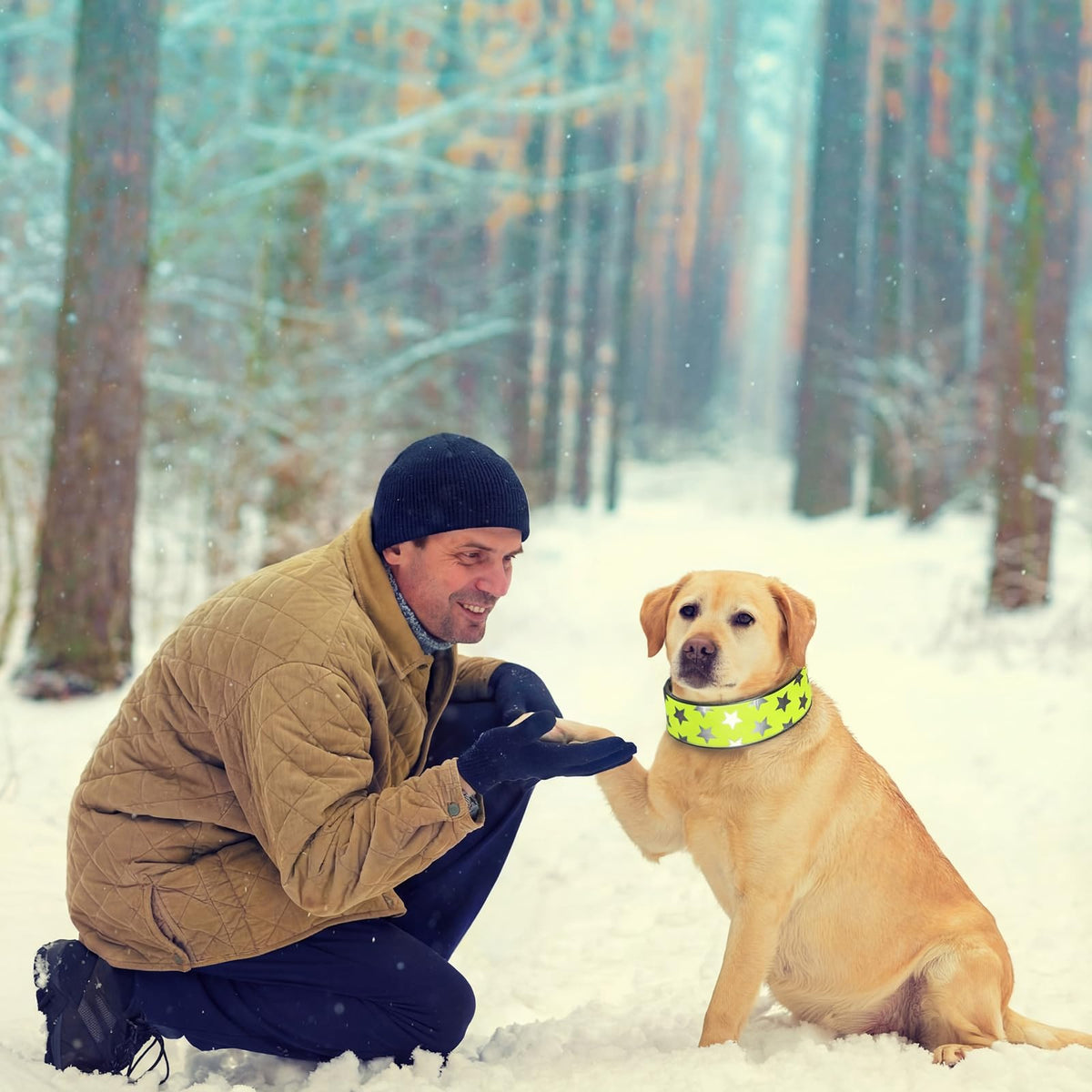 High-Visibility Reflective Dog Collars – 2 Pack